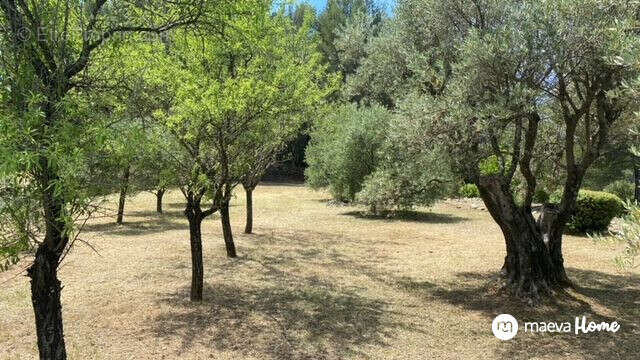 Terrain à LE BEAUSSET