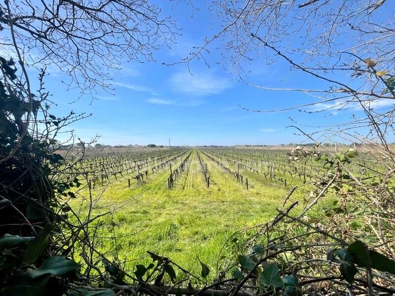 Maison à AIGUES-MORTES