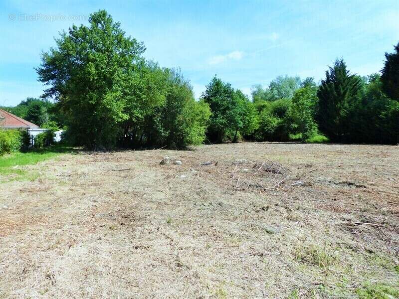 Terrain à BARBAZAN-DEBAT