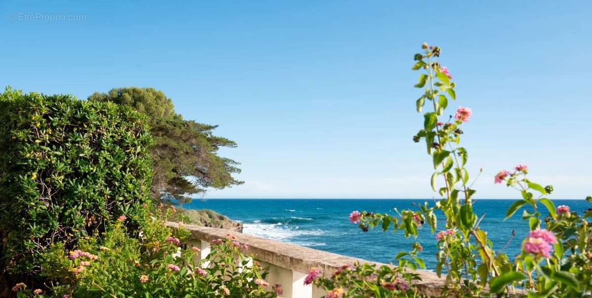 Maison à CAP-D&#039;AIL