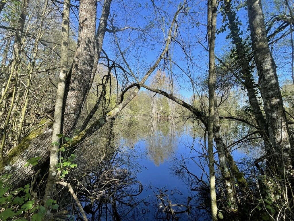 Terrain à AUTHON-DU-PERCHE