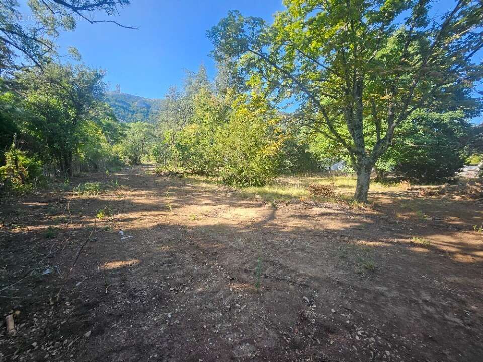 Terrain 167 m² à Plan-D'aups-Sainte-Baume  - photo 2