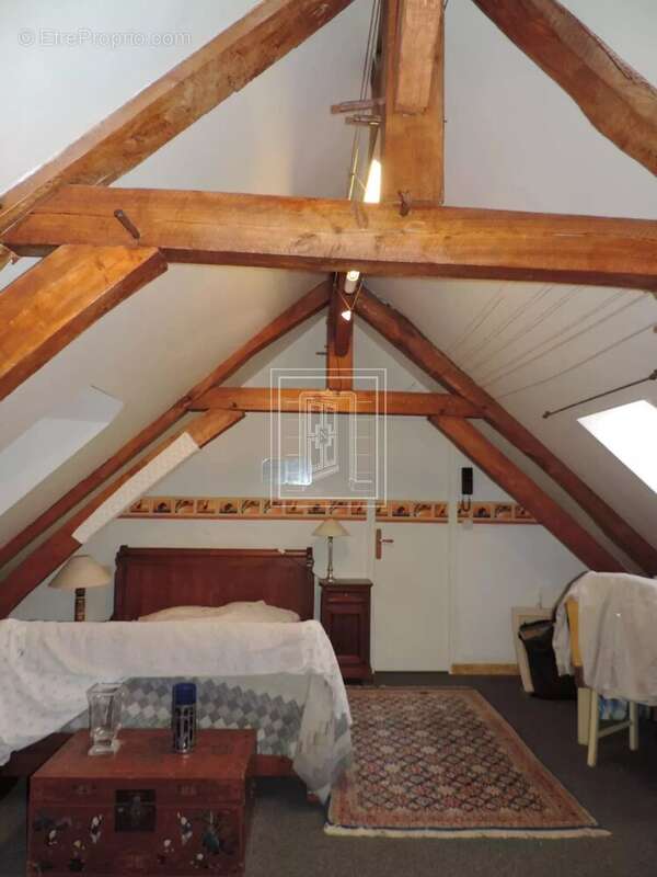 Maison à SELLES-SUR-CHER