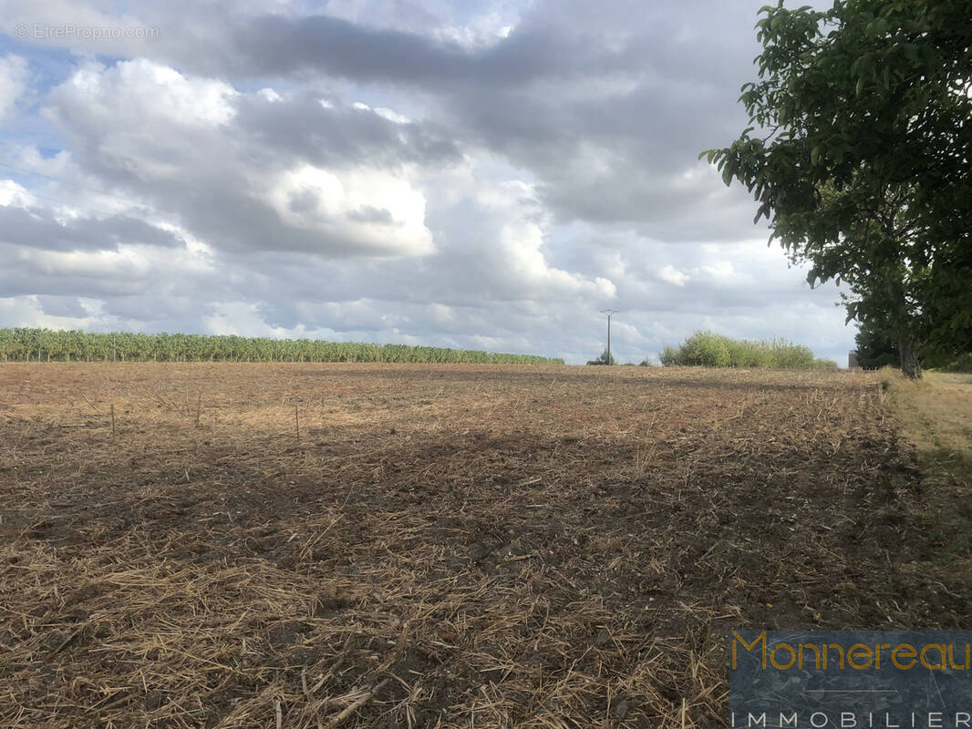 Terrain à SAINT-MAIGRIN