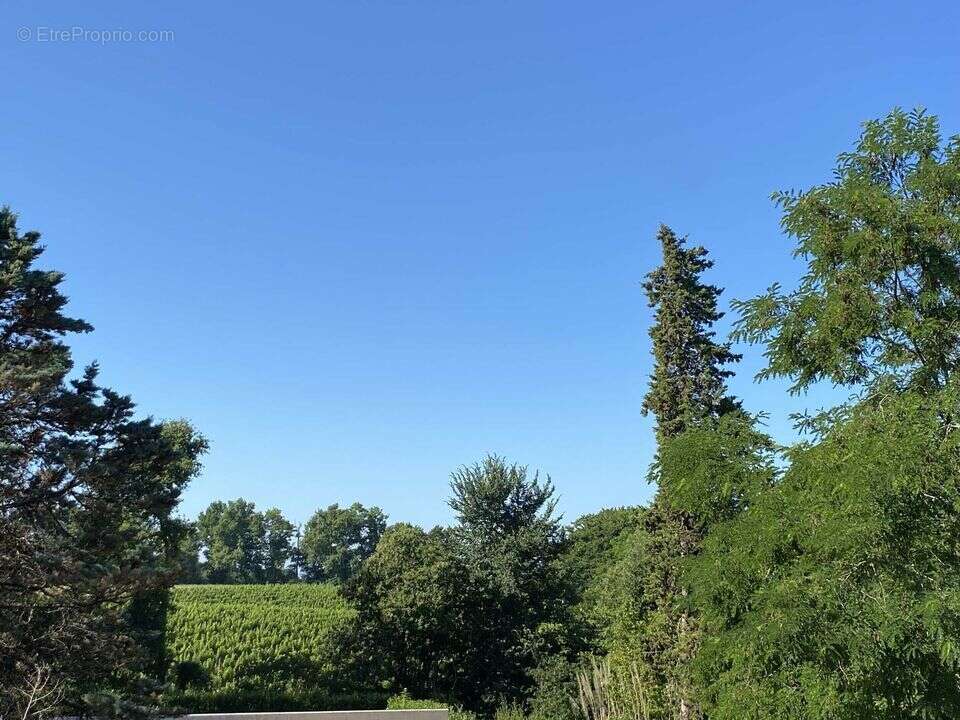 Appartement à CAZAUBON