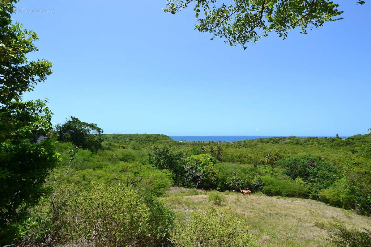 Terrain 4 000 m2   Vue mer imprenable   2 400 m2 constructibles (Zone UG)   Opportunité Investisseur - photo 4