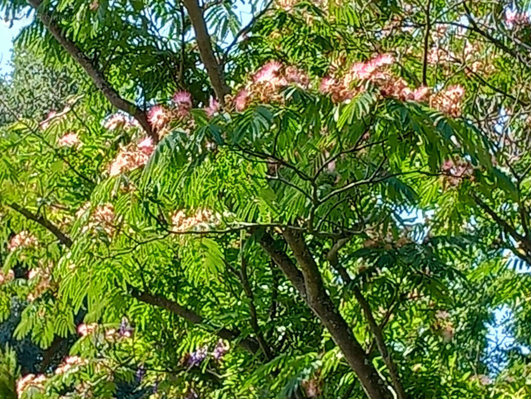 Maison à LES SABLES-D'OLONNE