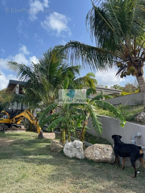 Maison à SAINT-MARTIN