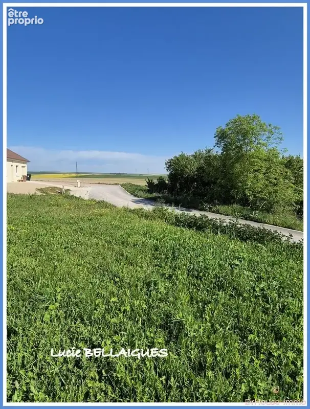 Terrain 2 742 m² à vendre à Onjon (10220) - photo 40