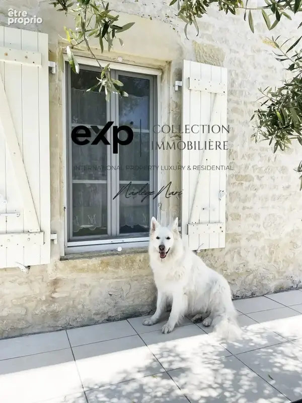 Maison 265 m² à Sainte-Soulle  - photo 5