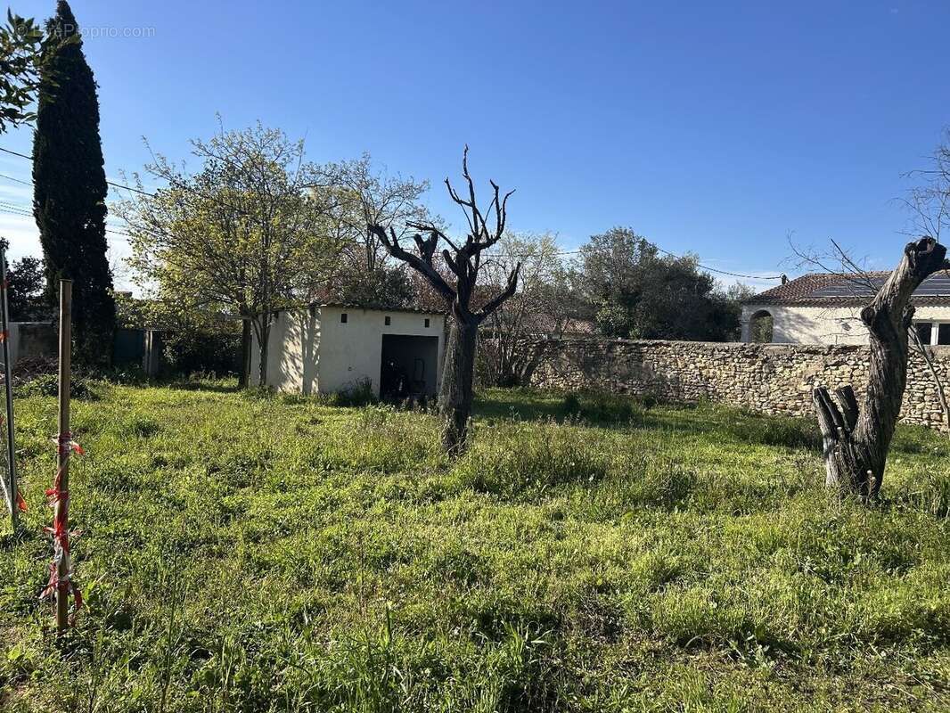 Terrain à MUS