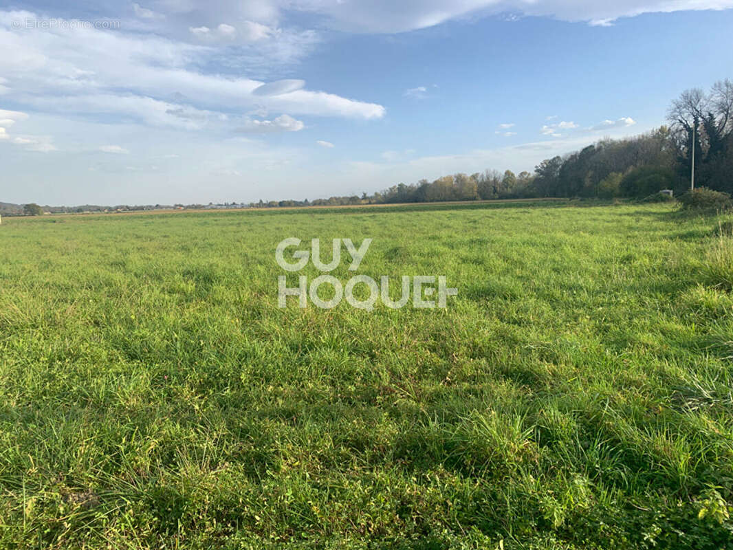 Terrain à LABASTIDE-CEZERACQ