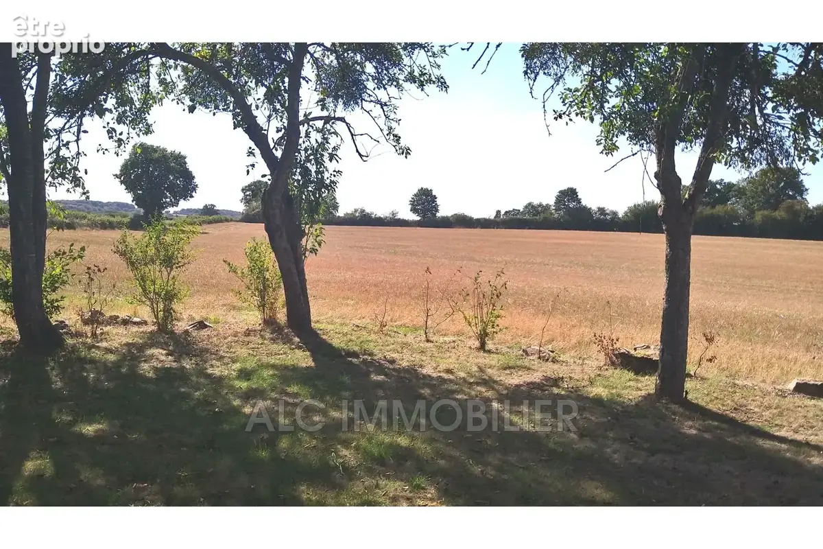 Maison 237 m² à Saint-Leonard-Des-Bois  - photo 3