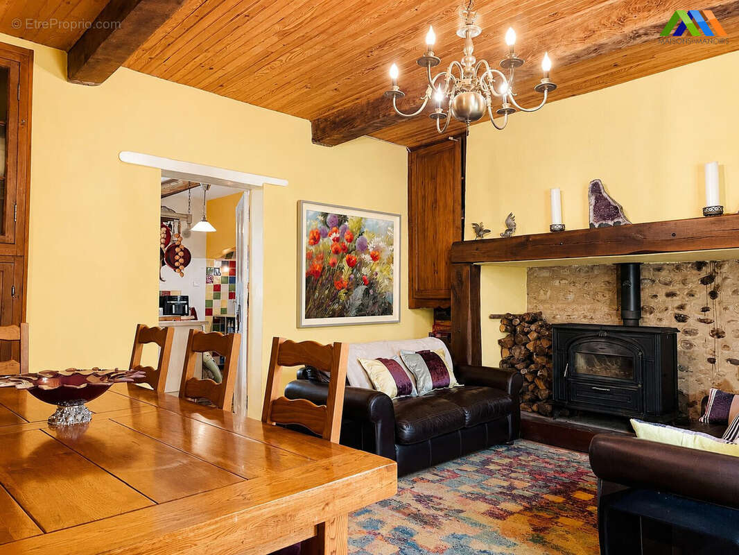 Maison 450 m² à Vic-En-Bigorre  - photo 5