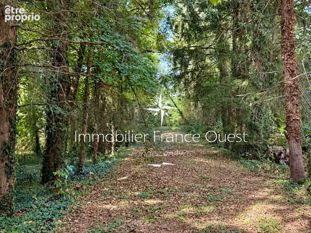 Grande demeure Bourgeoise avec 9 ha de bois - photo 4