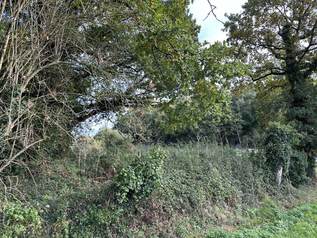 Parking à SAINT-LORMEL