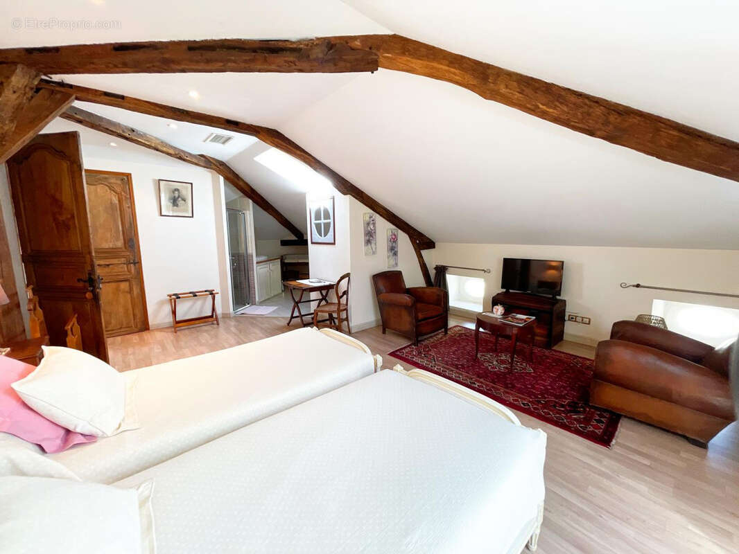 Ensemble immobilier avec Maison de maître, gîte, maison de gardien, piscine et jacuzzi - photo 18