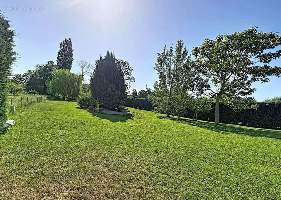 Maison d'architecte T6 sur 28 ares à Marmoutier - photo 6