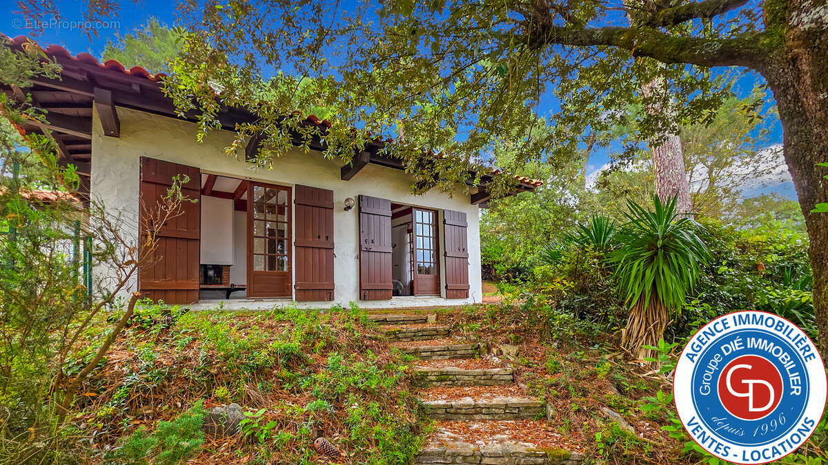 Maison à LE BOUSCAT