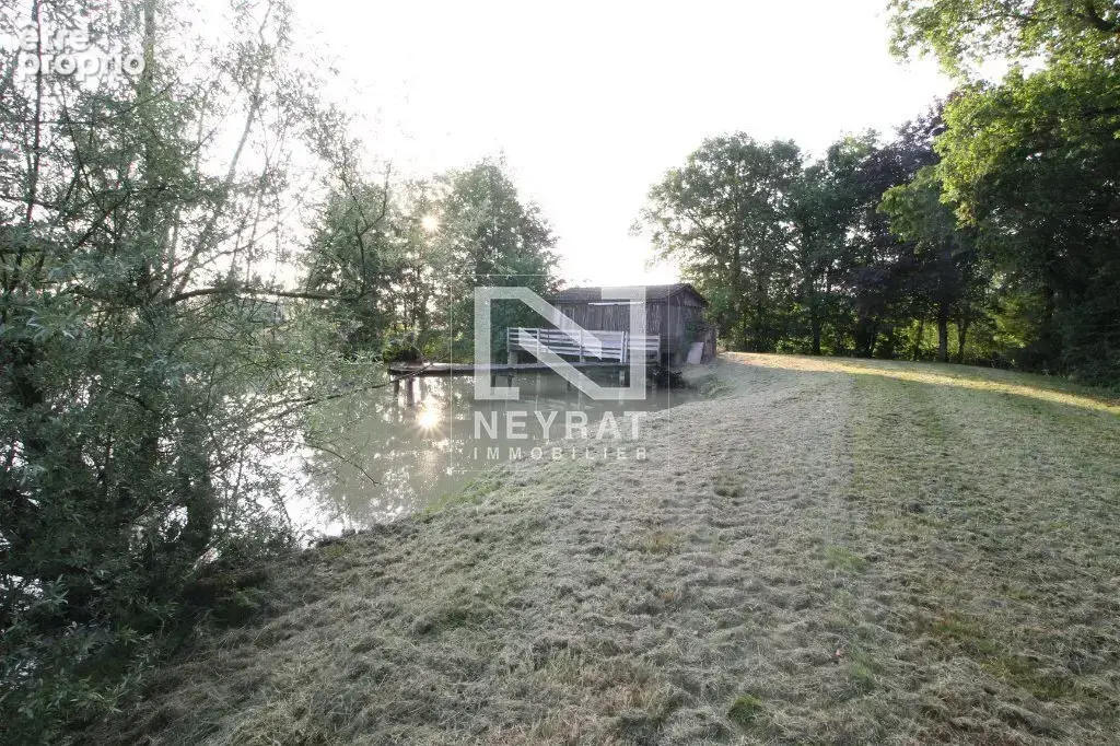 Etang avec sources - photo 15