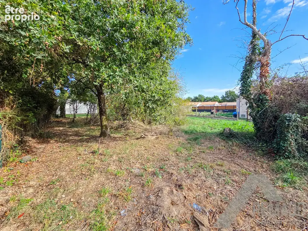 Terrain 540 m² à vendre à Martinet (85150) - photo 4