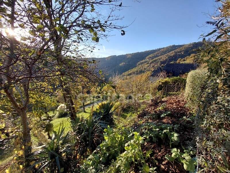 Maison à VIEILLEVIE