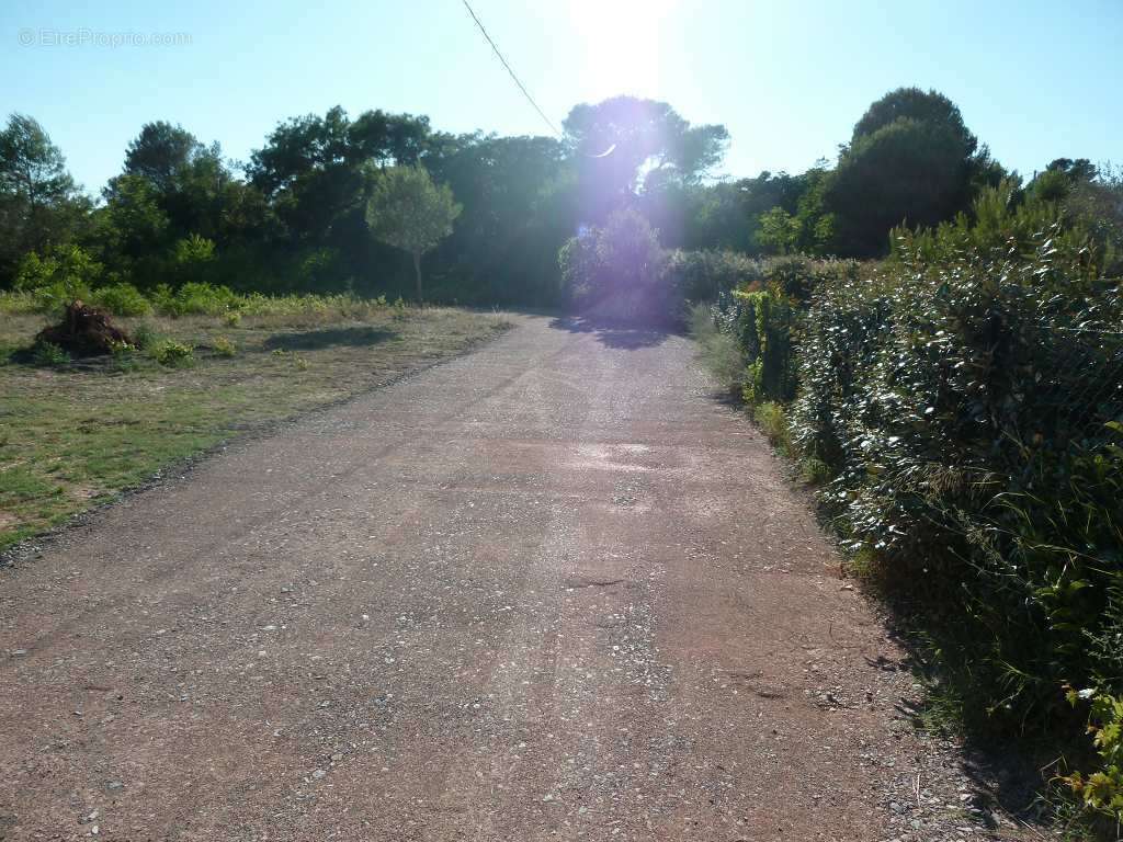 Terrain à CLERMONT-L&#039;HERAULT