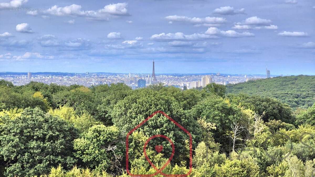 T3 traversant d'exception  Vue panoramique sur tout Paris et la Tour Eiffel - photo 2