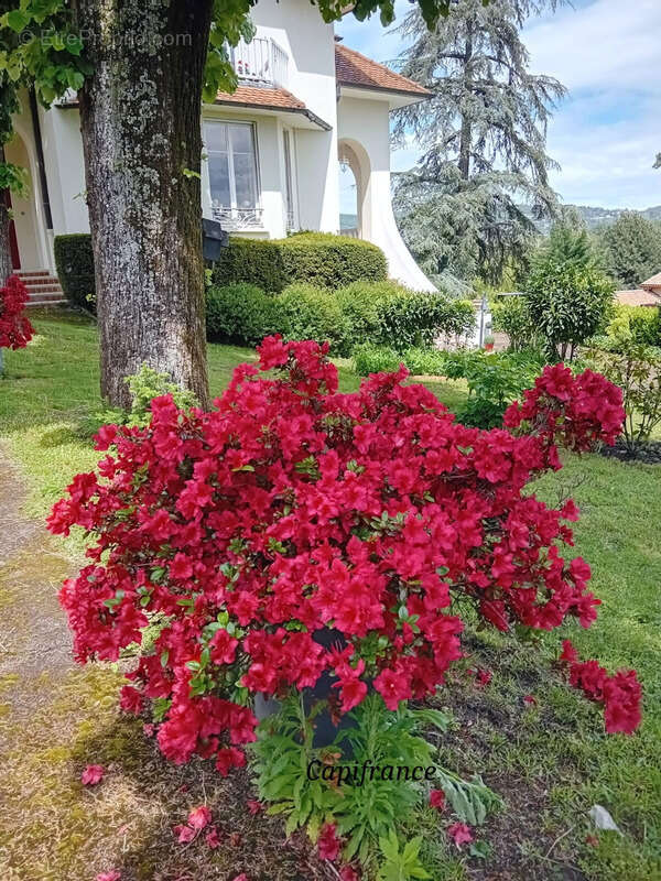 Maison à DARDILLY
