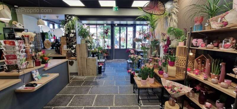 Commerce à COURNON-D'AUVERGNE