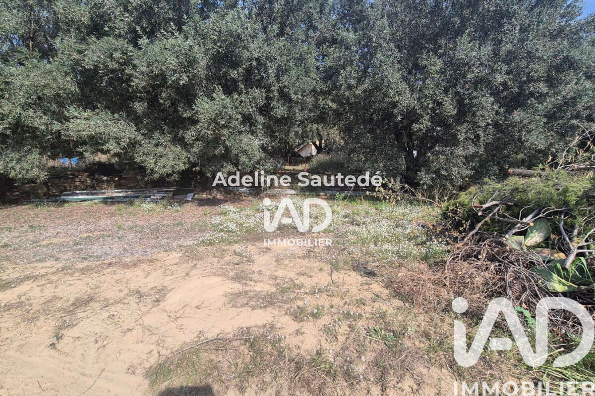 Photo 5 - Terrain à SAINT-CYR-SUR-MER