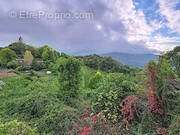 Maison à MONTOULIEU