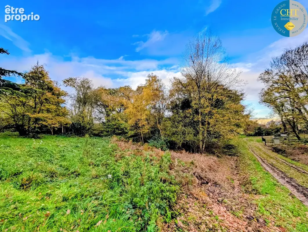 Magnifique terrain boisé de 9 420 m2 à guer - bellevue (56380) avec cht immobilier - photo 7