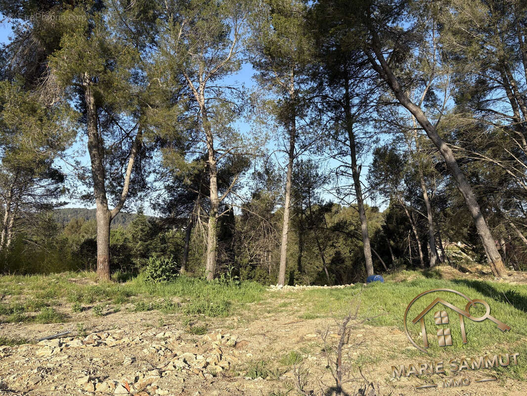 Terrain à SAINT-CLEMENT-DE-RIVIERE