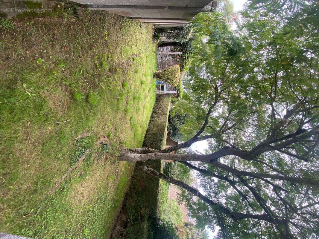 Photo 4 - Maison à SAINT-JAMES