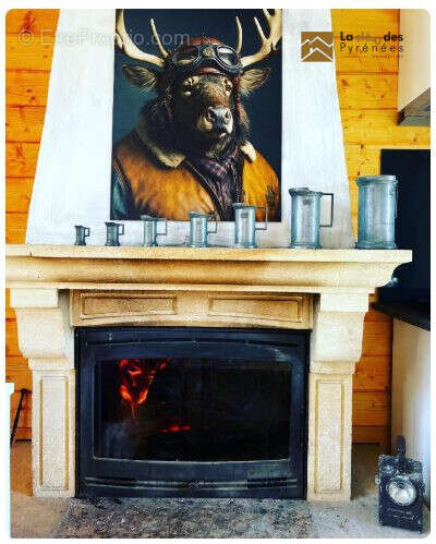 Cheminée - Maison à BORDERES-LOURON