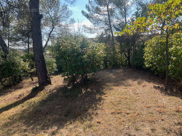 Terrain à SAINT-CLEMENT-DE-RIVIERE