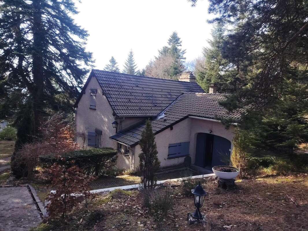 Photo 2 - Maison à LE CHAMBON-SUR-LIGNON