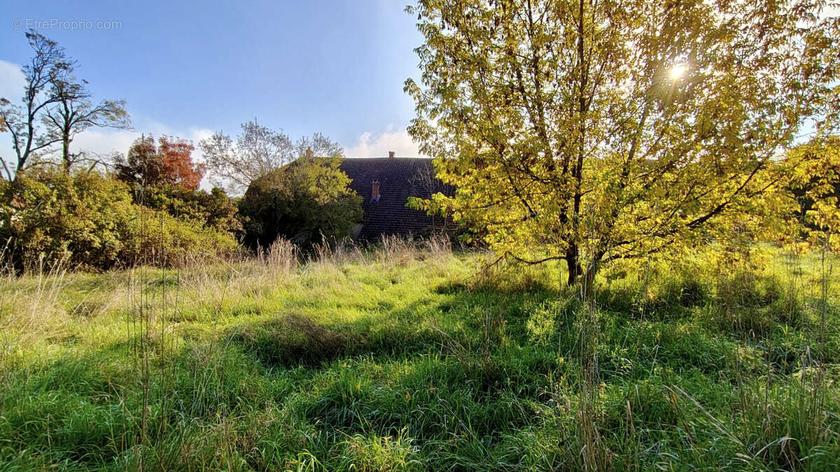 Maison à VANDENESSE-EN-AUXOIS