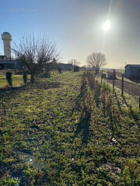 Terrain à CRUCHERAY
