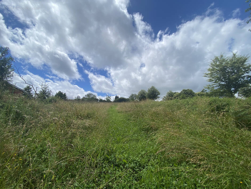 Terrain à SAINTE-FEREOLE