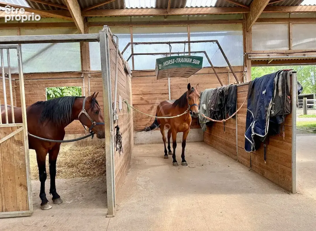 Haras d'Entraînement de Courses sur 28 Hectares   Cadre Exceptionnel - photo 22