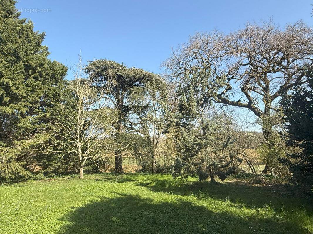 Maison à VALENCE-SUR-BAISE