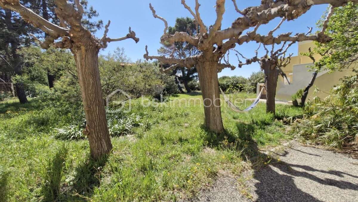 Appartement à LE BARCARES