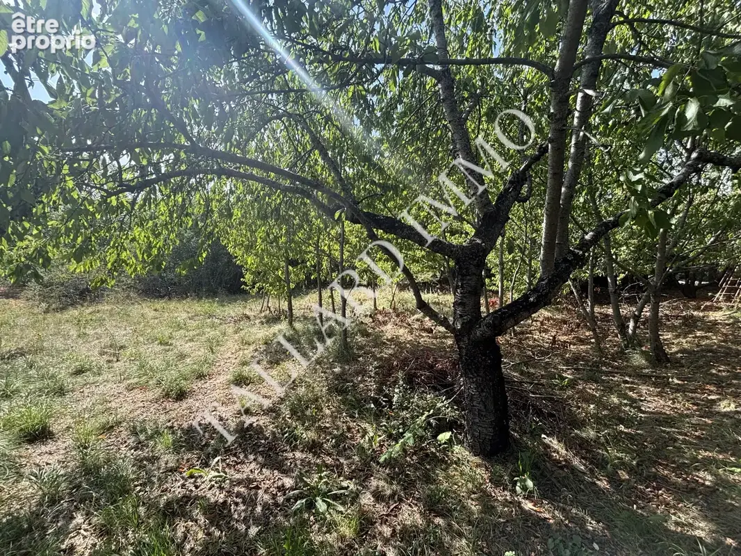Terrain 1 687 m² à vendre à Tallard (05130) - photo 12