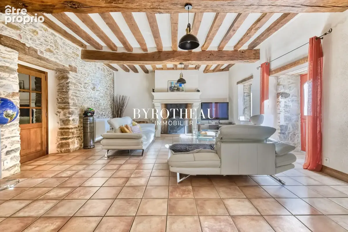 Maison 8 pièces 295 m² à vendre à Segre (49500) - photo 5