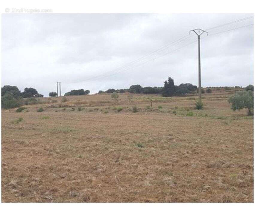 Photo 2 - Terrain à SAINTE-VALIERE