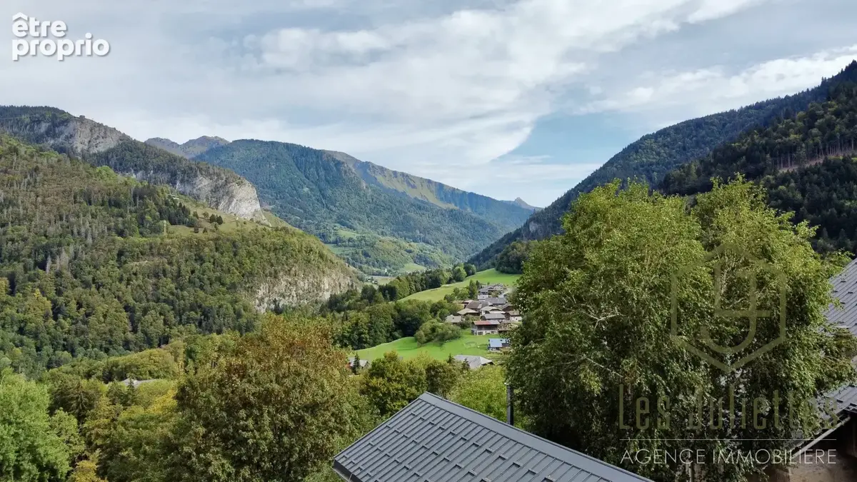 Chalet brut avec vue dégagée — seytroux (proximité morzine / portes du soleil) - photo 3