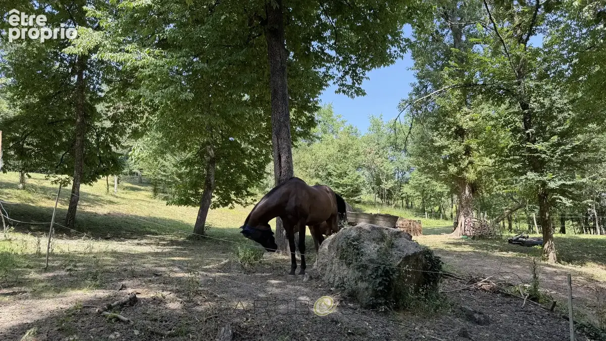 Propriété de caractère avec activité de gîtes sur  environ 10 hectares . - photo 34