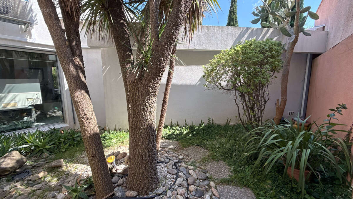 Achat saint cyprien plage / capellans - villa 3 chambres - photo 4